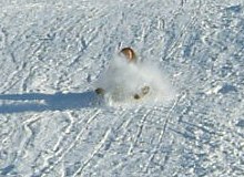 Luge aux Gets, Haute-Savoie