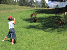 Parc de Merlet